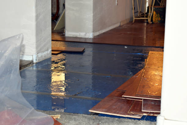 Professional Burst Pipe Cleanup technician working in Grayland, WA