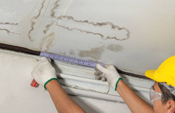 Reliable Burst Pipe Cleanup contractor in Grayland, WA by Water Damage Irwin